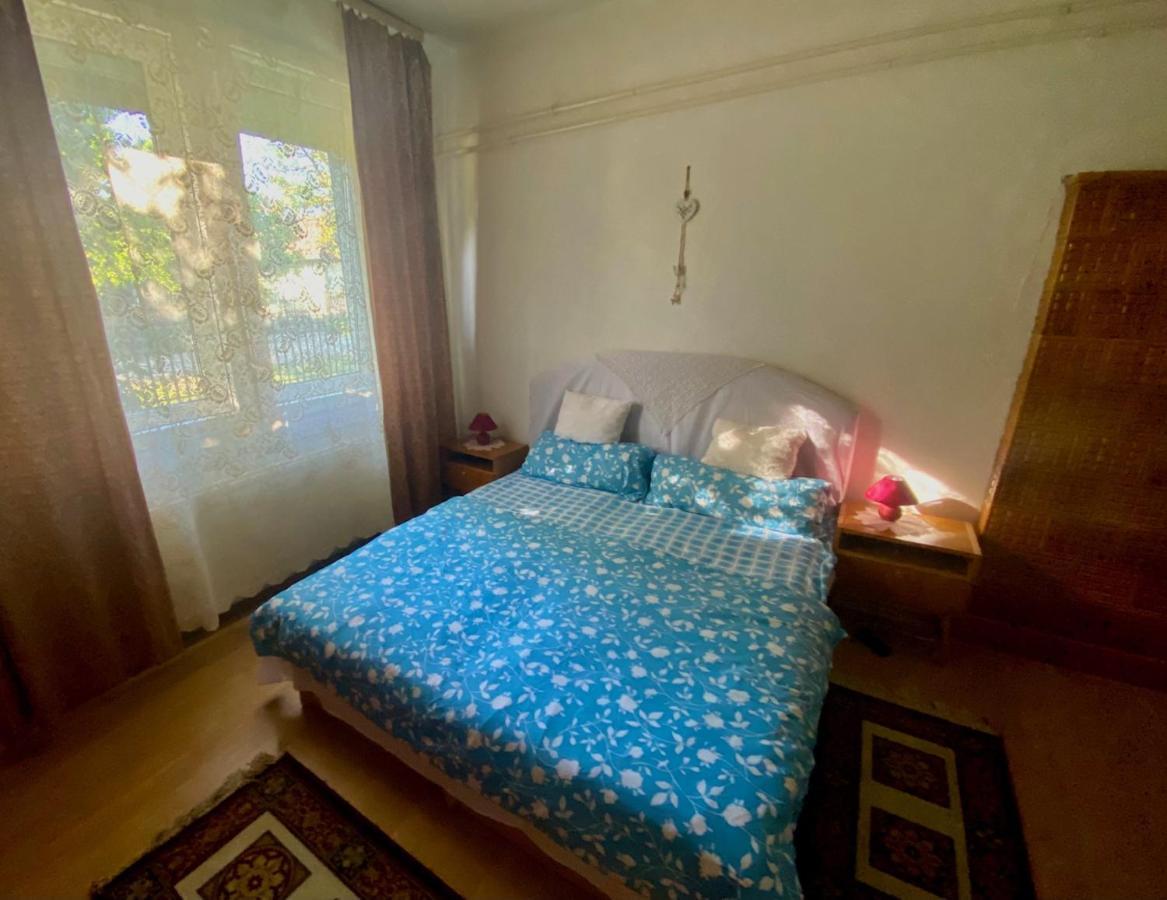 Grany'S Retro Guesthouse Near Budapest Airport فيتْشيش المظهر الخارجي الصورة