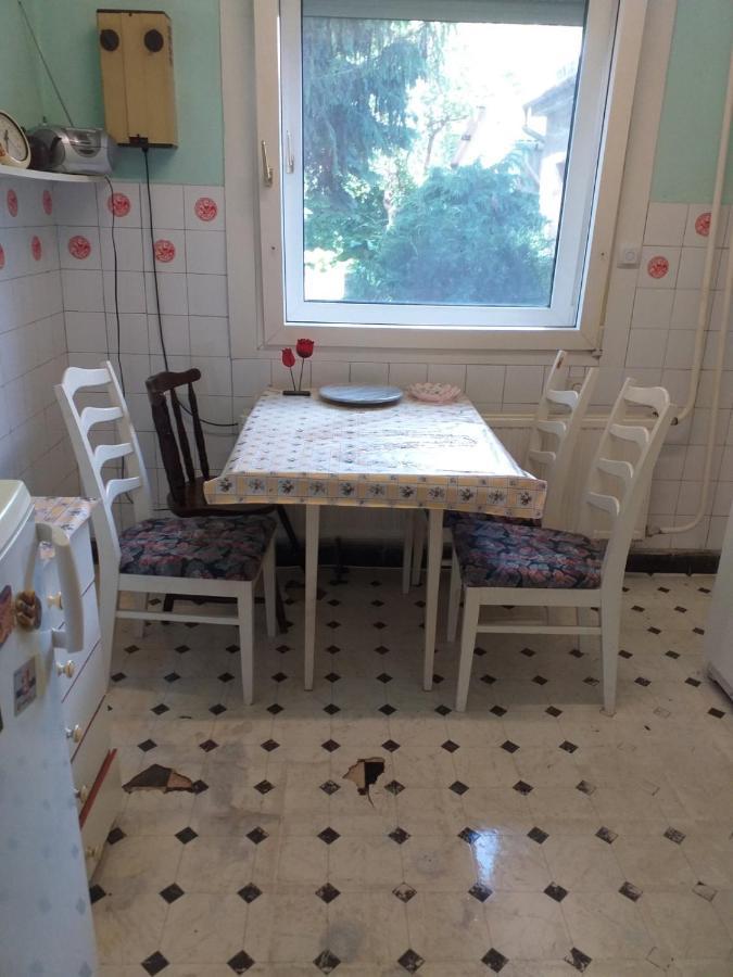 Grany'S Retro Guesthouse Near Budapest Airport فيتْشيش المظهر الخارجي الصورة
