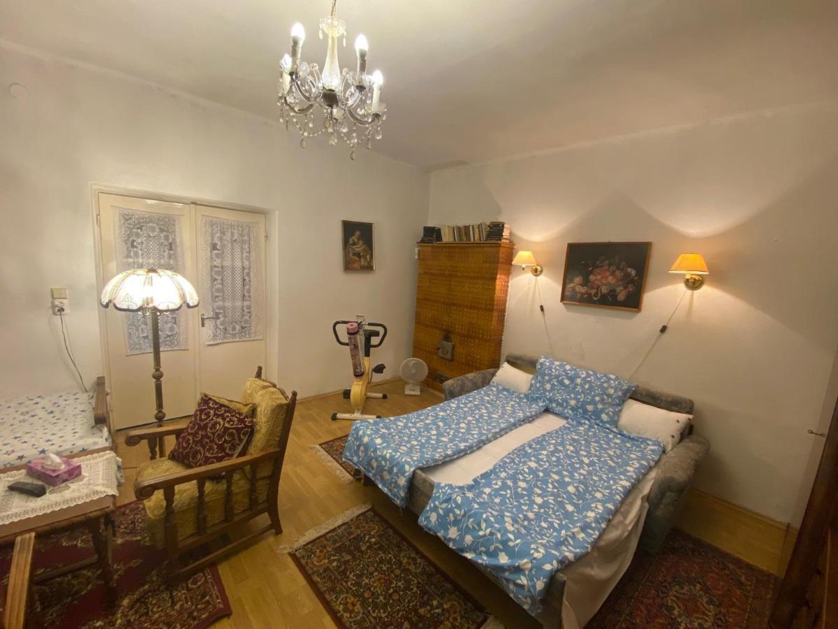Grany'S Retro Guesthouse Near Budapest Airport فيتْشيش المظهر الخارجي الصورة