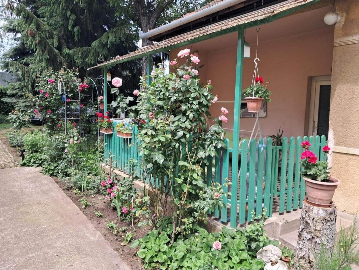 Grany'S Retro Guesthouse Near Budapest Airport فيتْشيش المظهر الخارجي الصورة